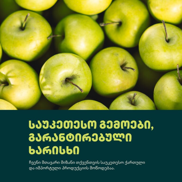 516042642_122137721174819572_3594794467783437304_n