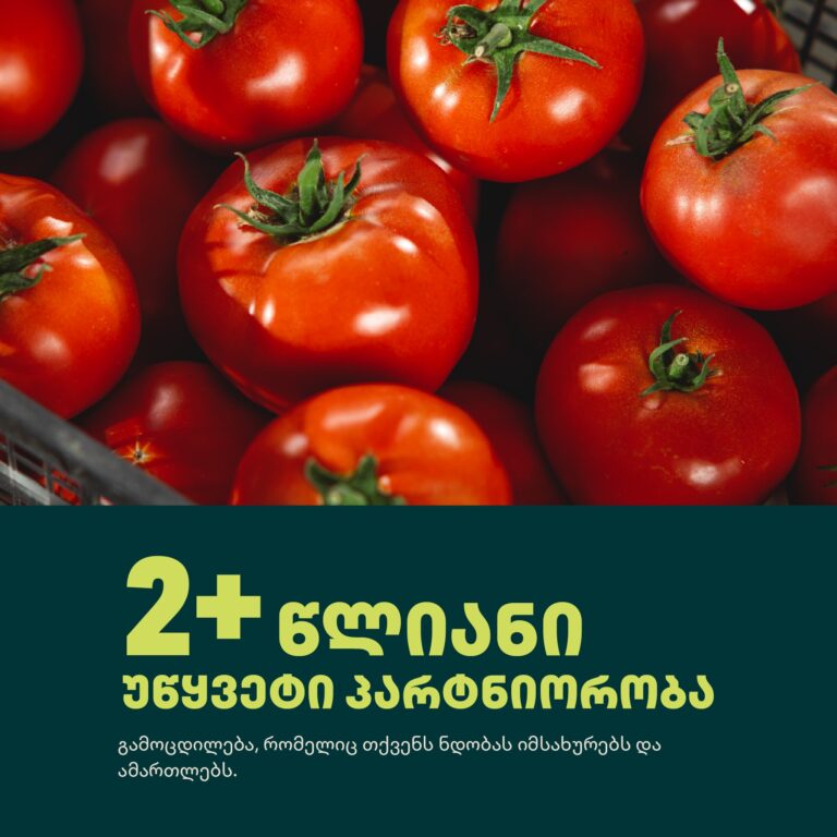 516442197_122137721180819572_2670828917811612535_n