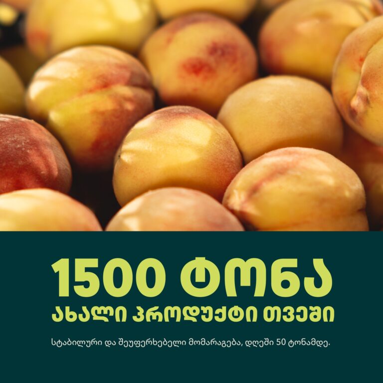 517999413_122137721156819572_8153100532942775522_n